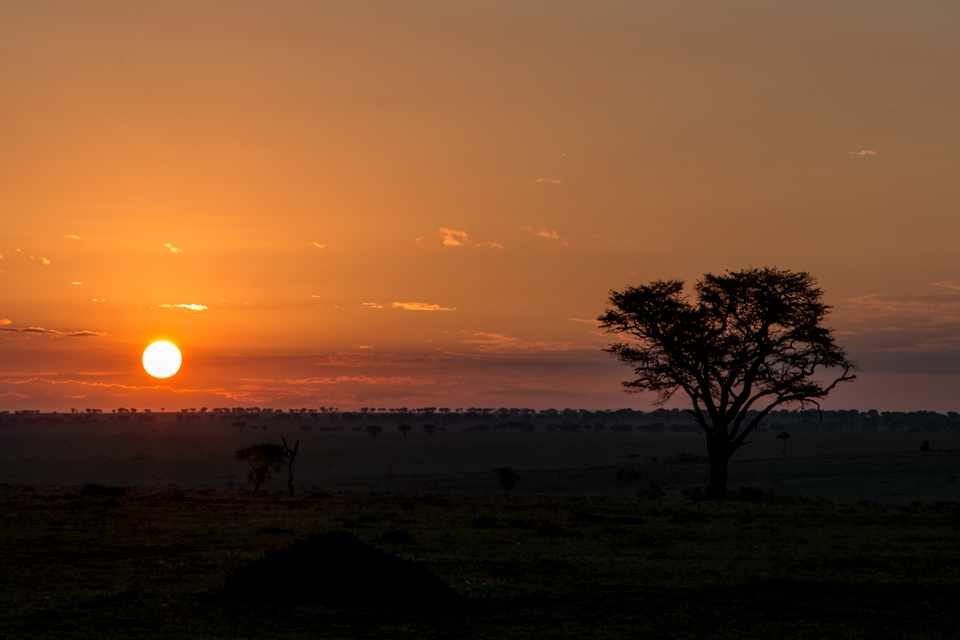 Sunrise on Safri