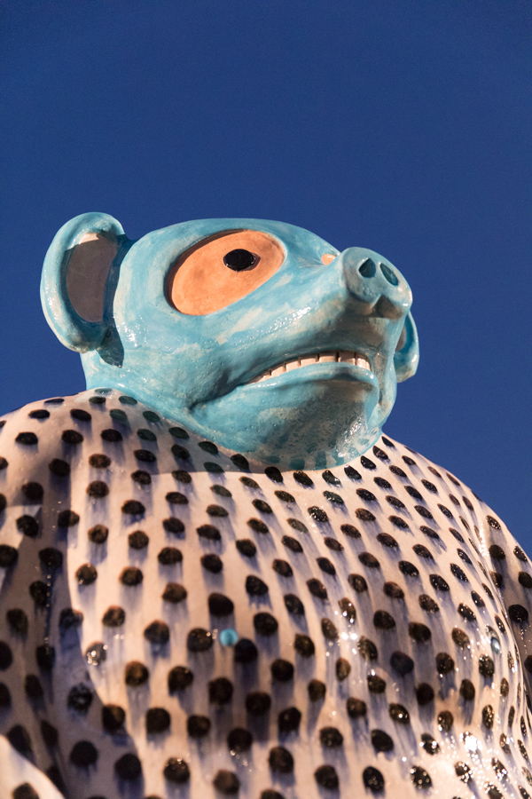 Rat?
