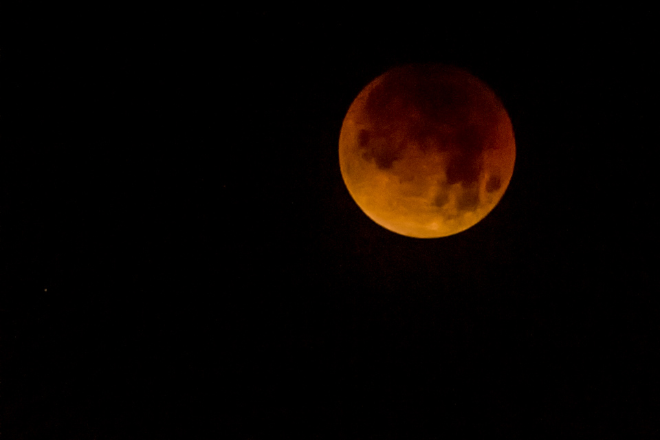 Blood Moon