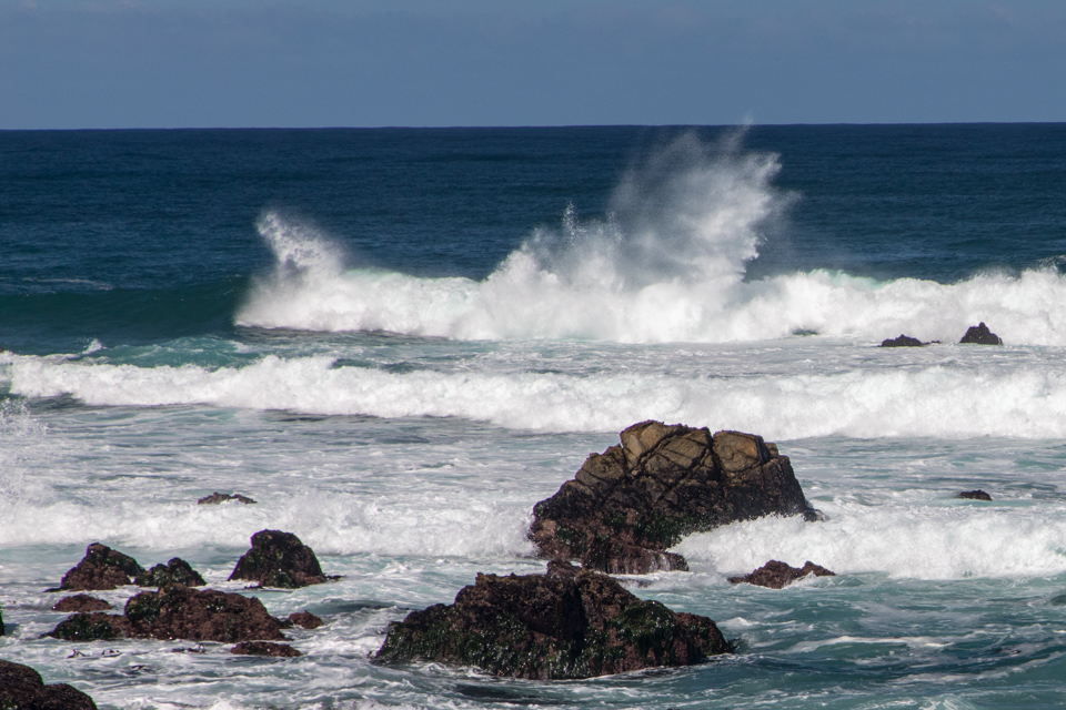 Bough Surff 