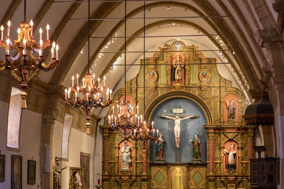 Carmel Nave