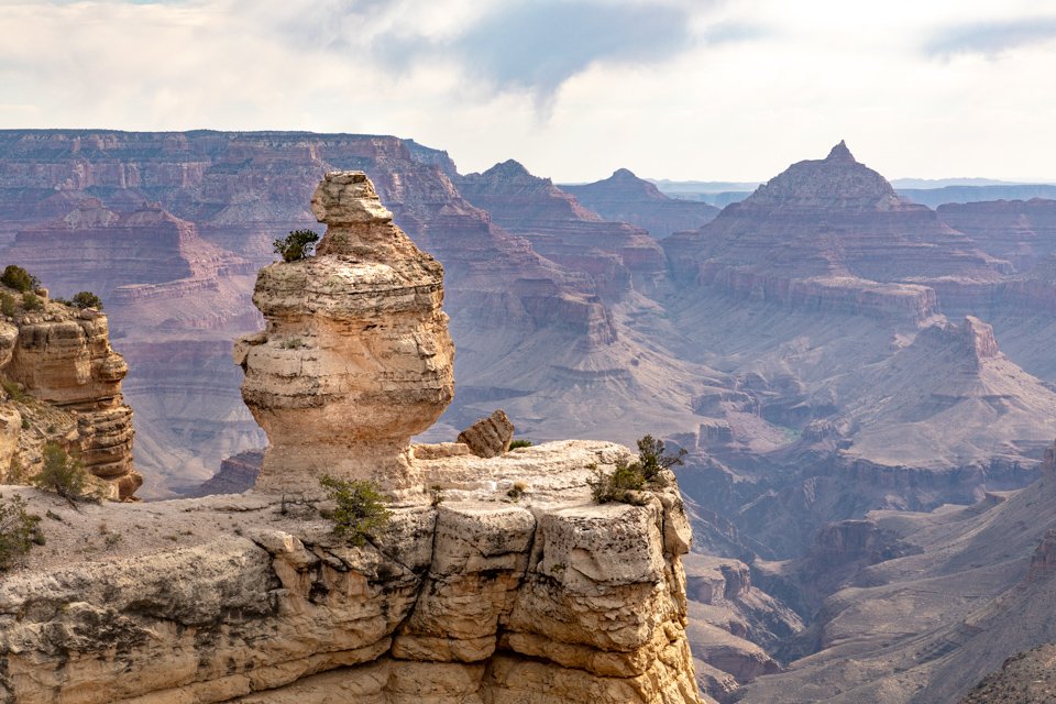 Duck Rock