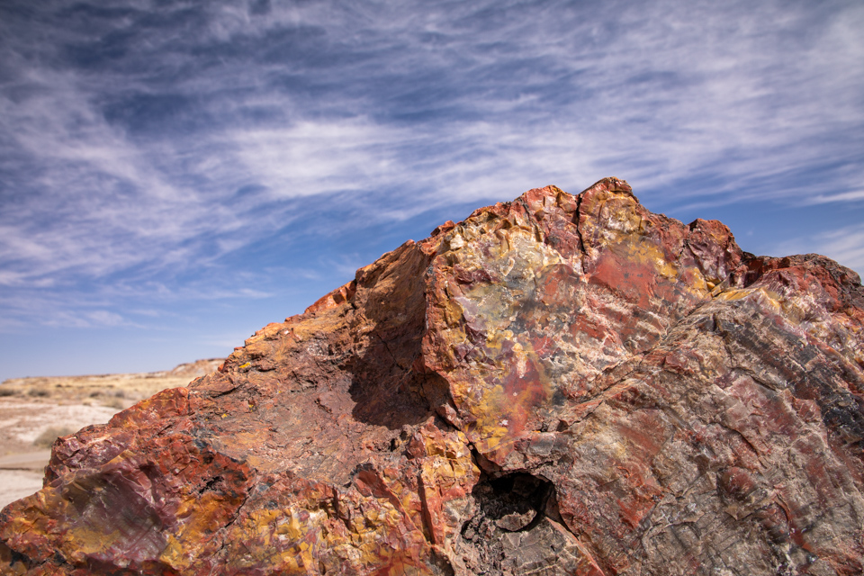Petrified Wood