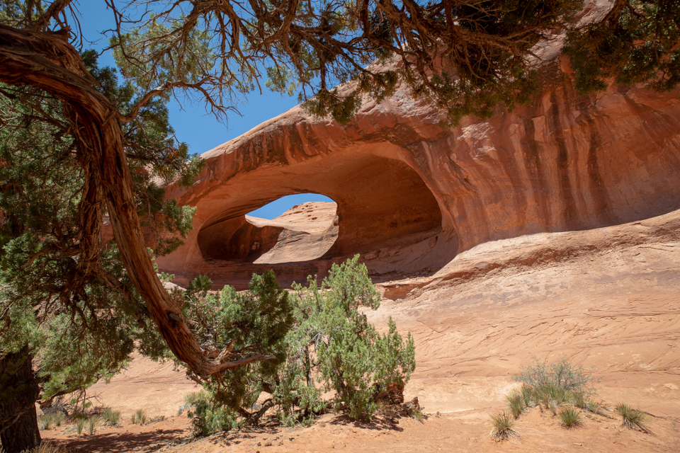 Half Dome Arch