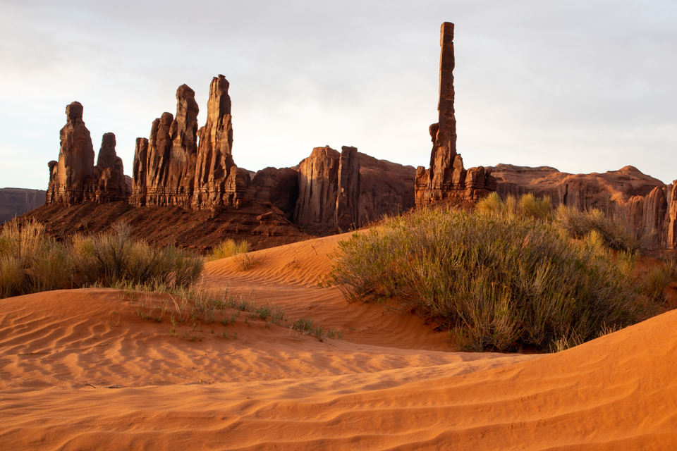 Beautiful Desert