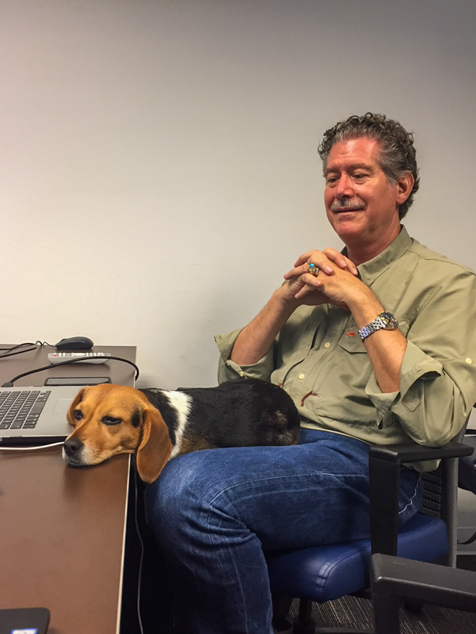 Office Pup