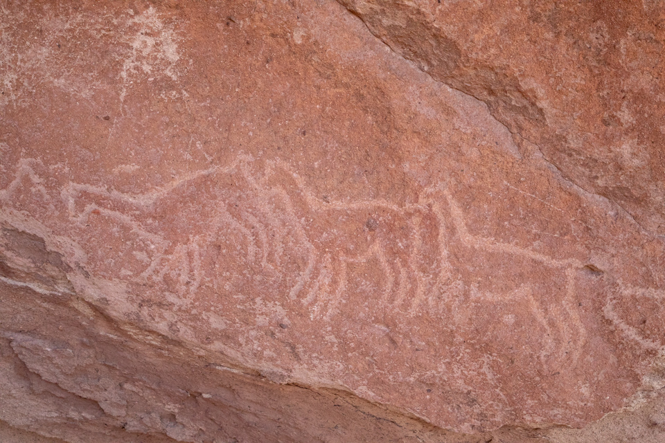 Stone Animals