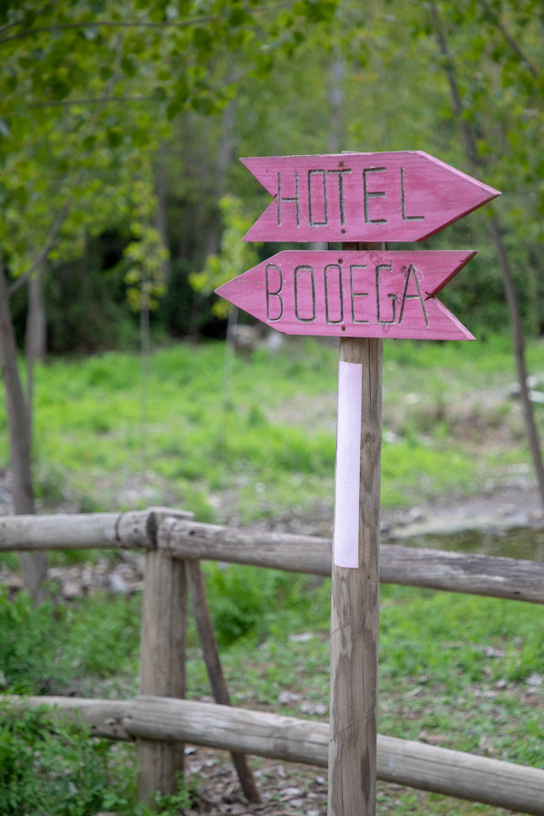 Signs Signs