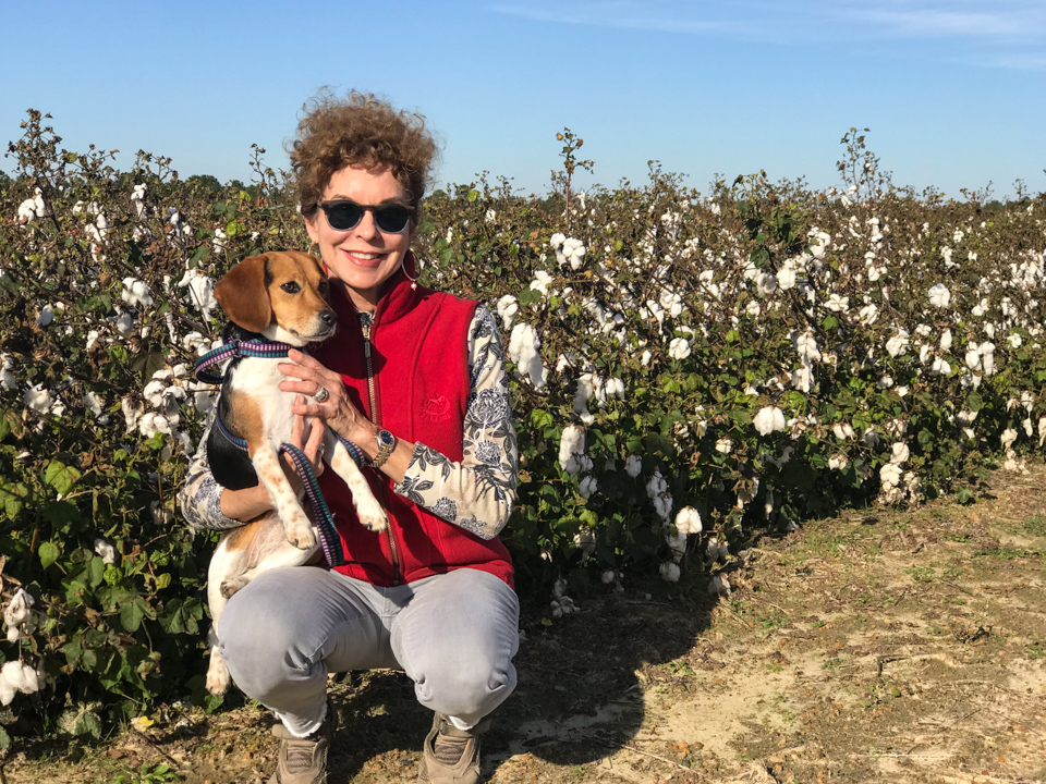 High Cotton