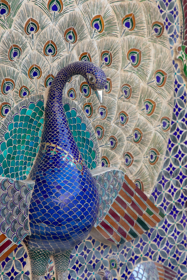 Tile Peacock