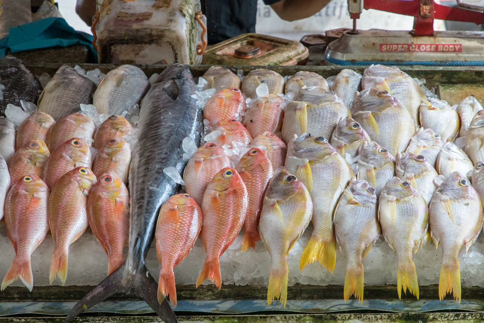 Fish Market