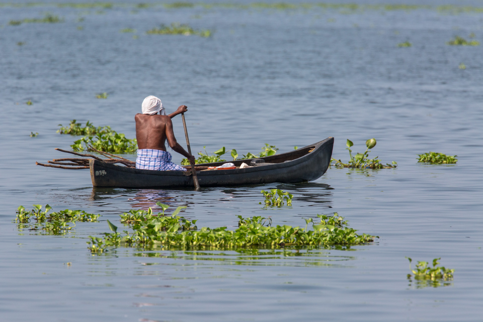 Canoe