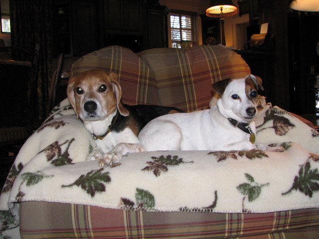 Friends in a Chair