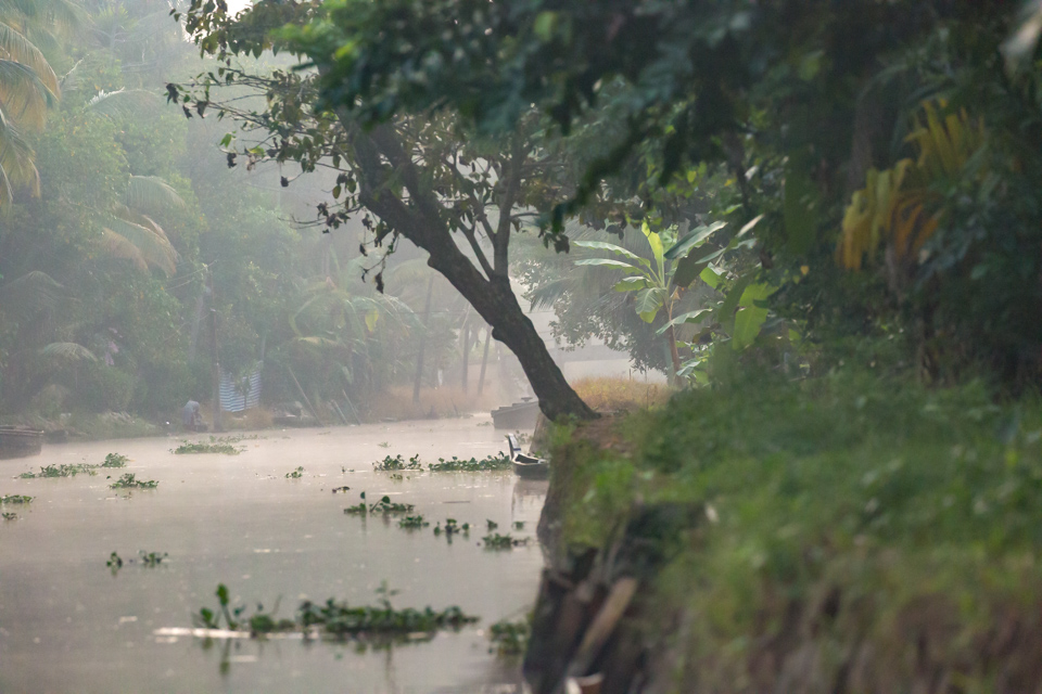 Morning Mist