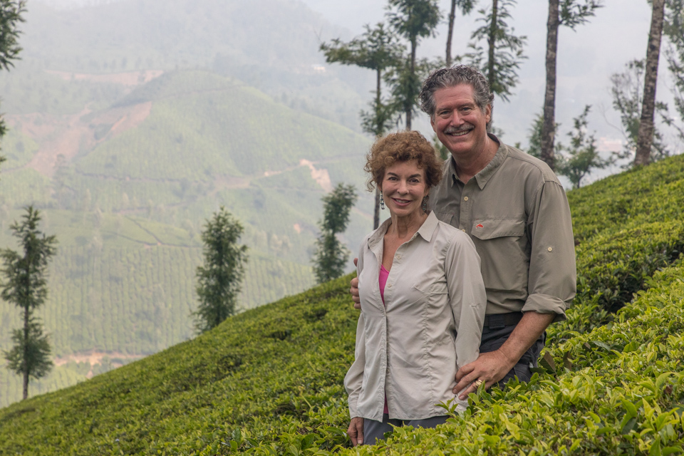 In the Tea Fields