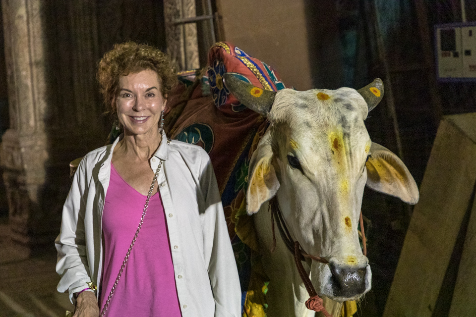Sacred Cow
