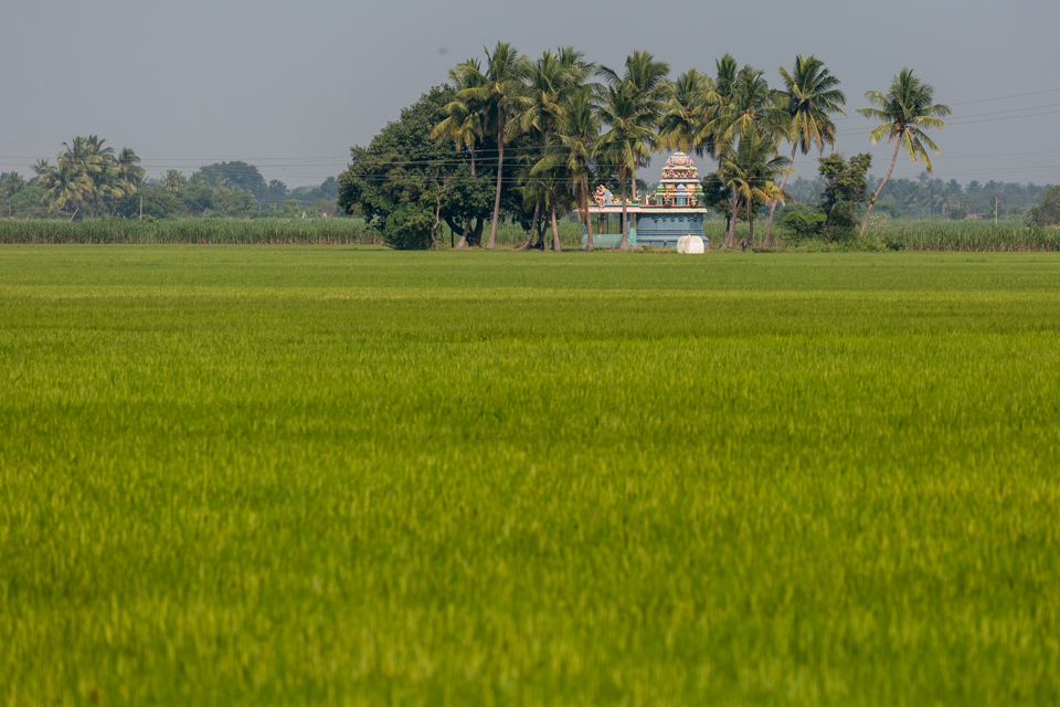 Small Temple