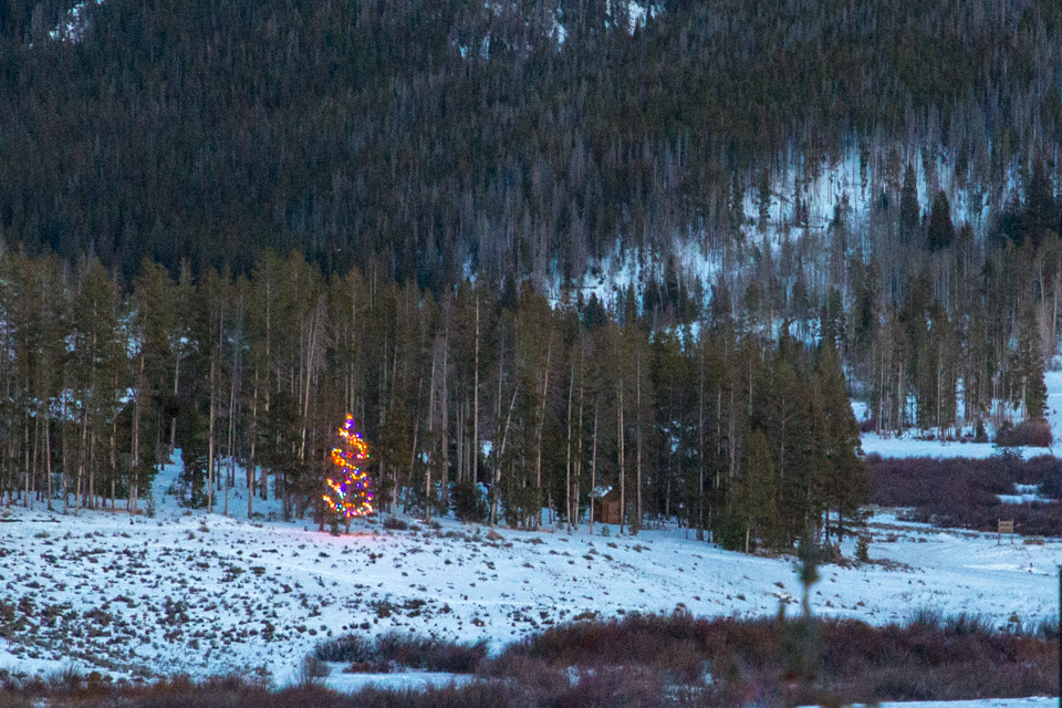 Christmas Tree