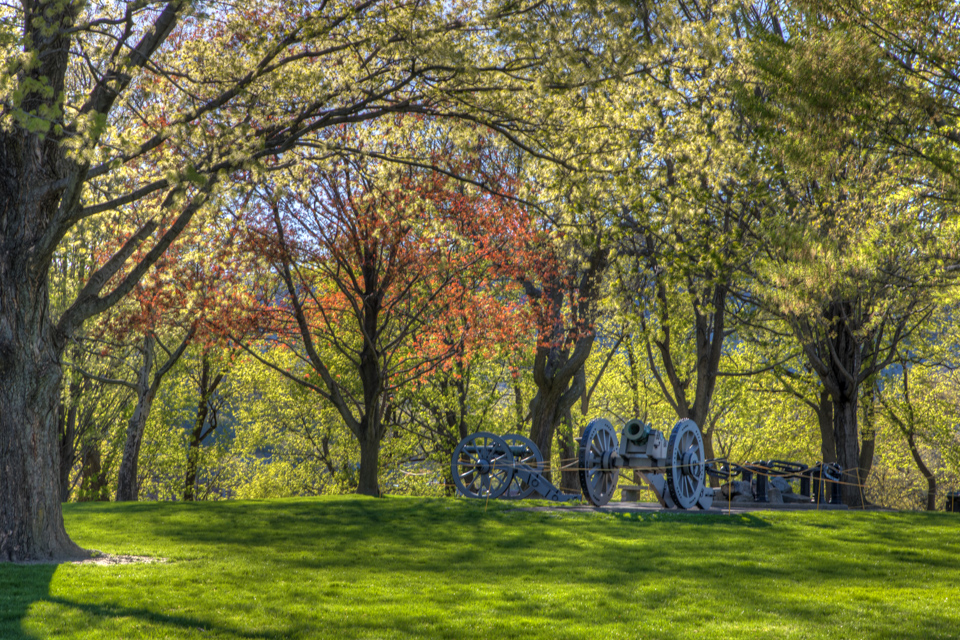 Cannons