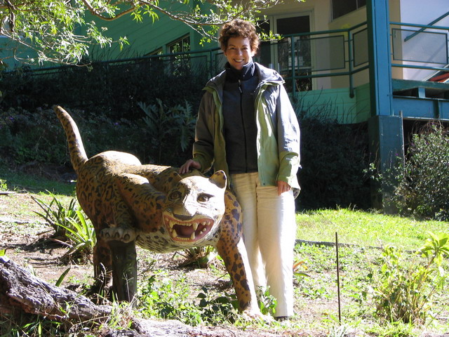 VA with Tiger