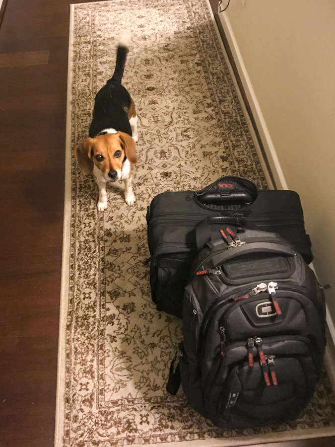 Am I going?