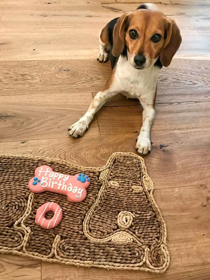 The Big 06