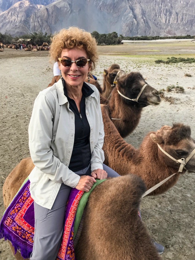 On a Camel