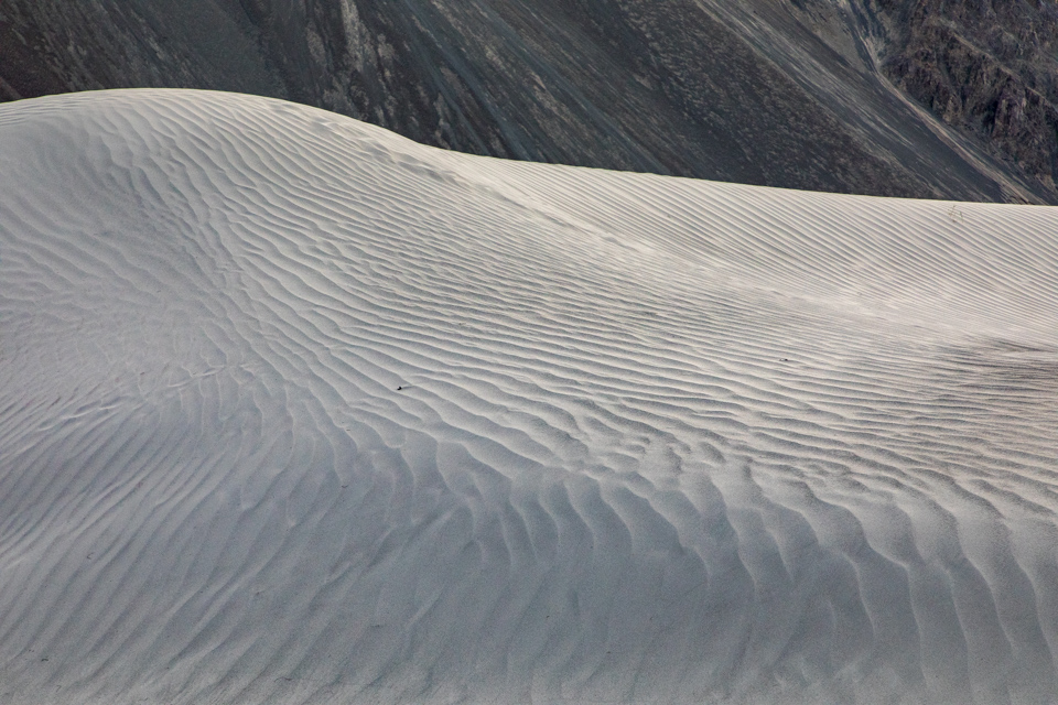 Nubra Dunes
