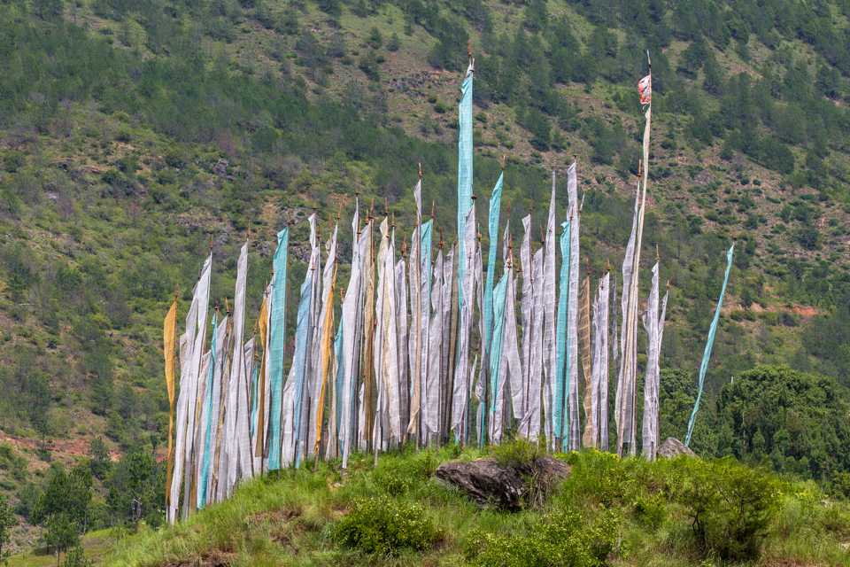 Family Flags