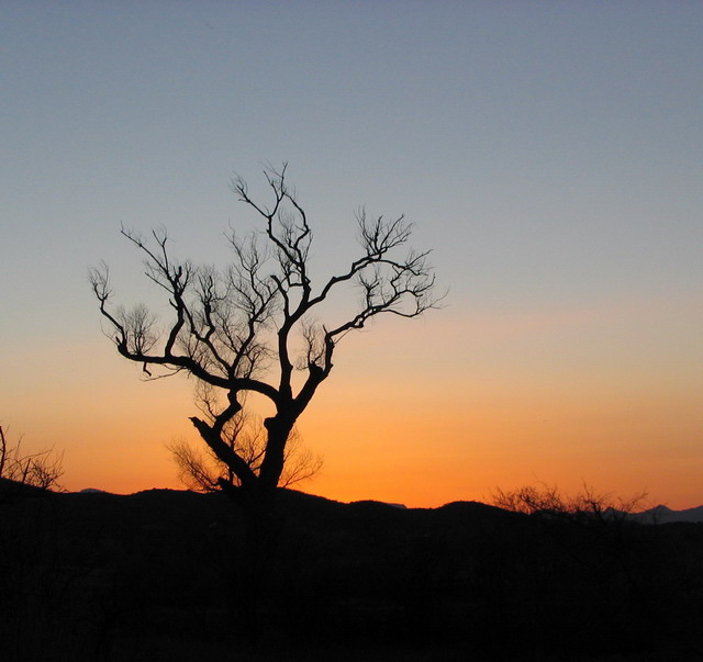 Sunset in Nogales
