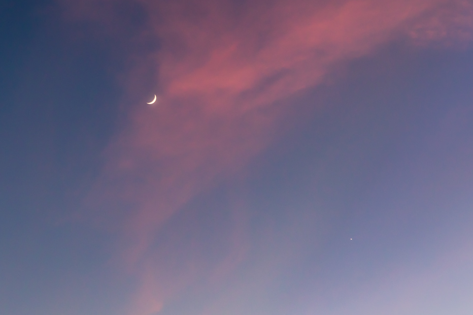 Pink Sky