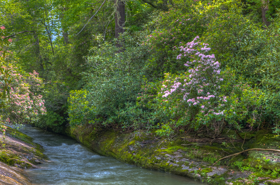 Chattooga Shoot 