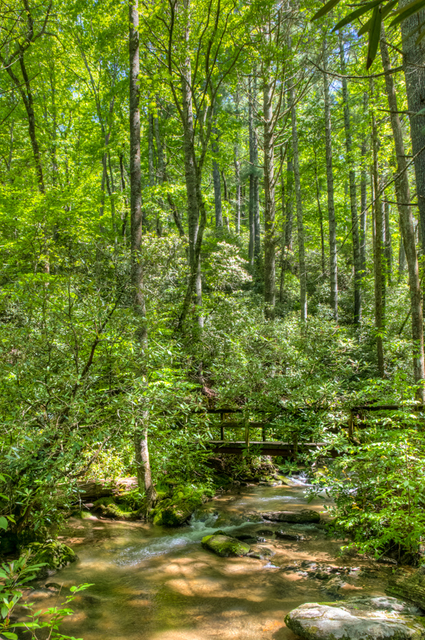 Trail Bridge