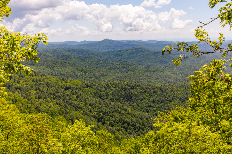 Chinquapin Mountain View