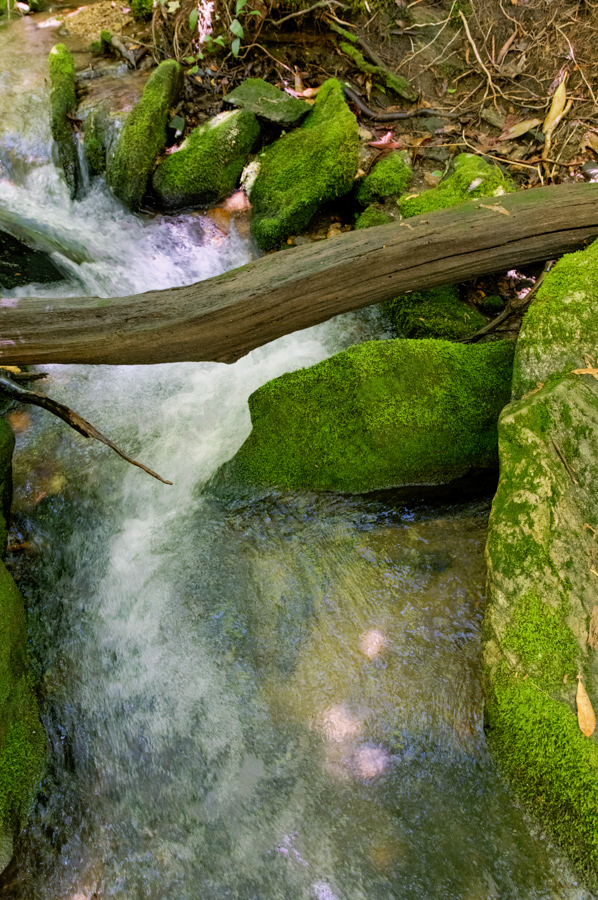 Mountain Creek