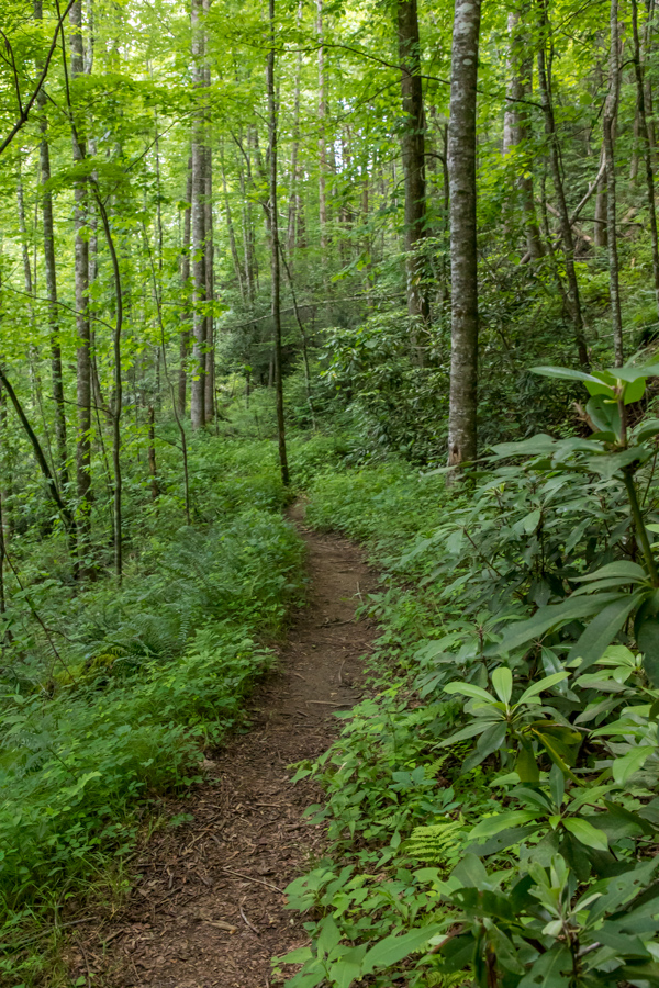 Green Trail