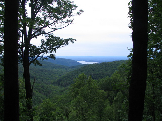 Nantahala Forest