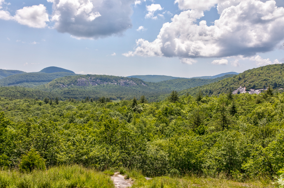 Panther Town Valley