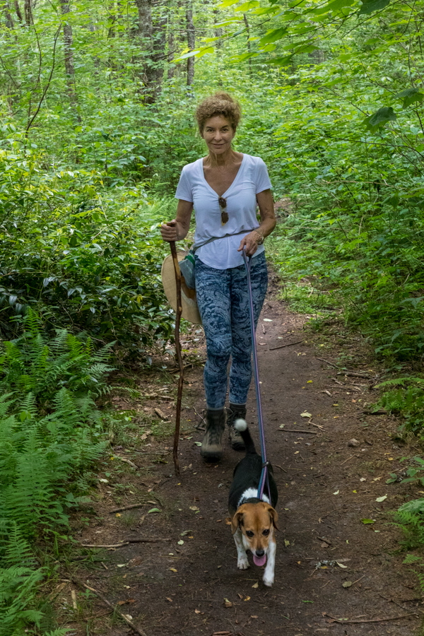 Enjoying the Forest