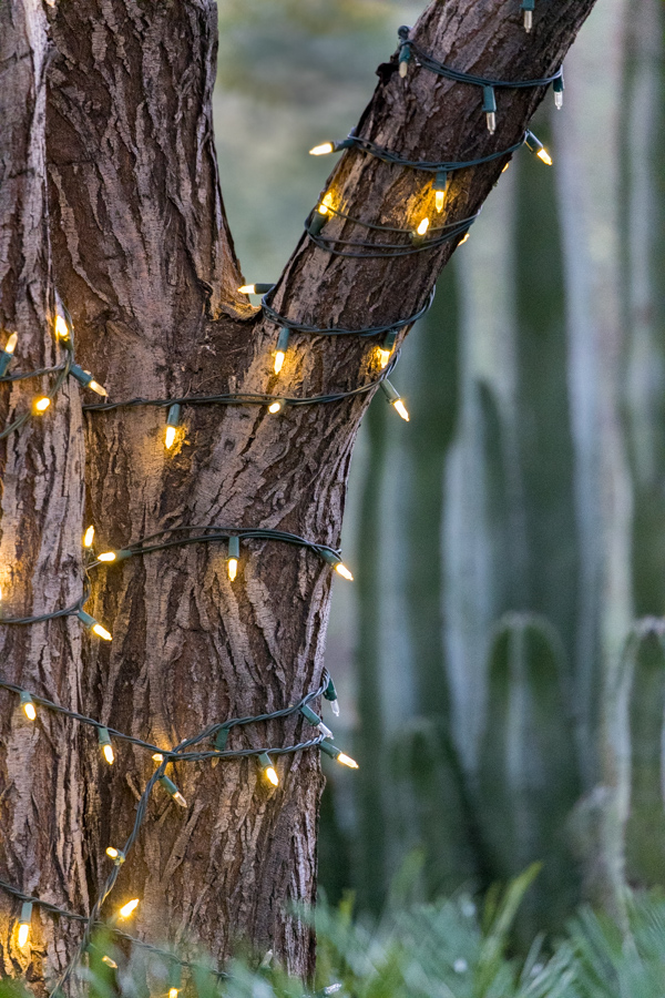 Lights