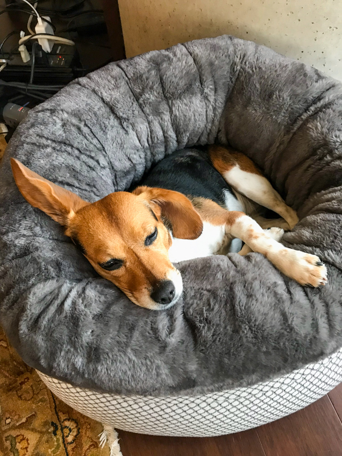 Ear Askew 