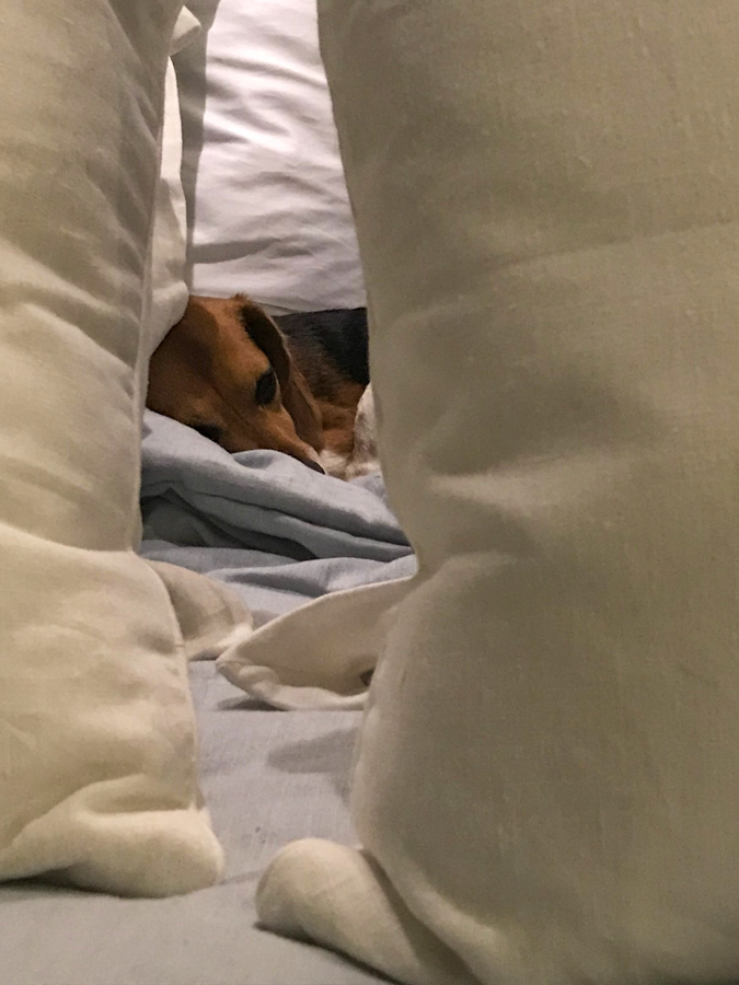 Deep in the Bed
