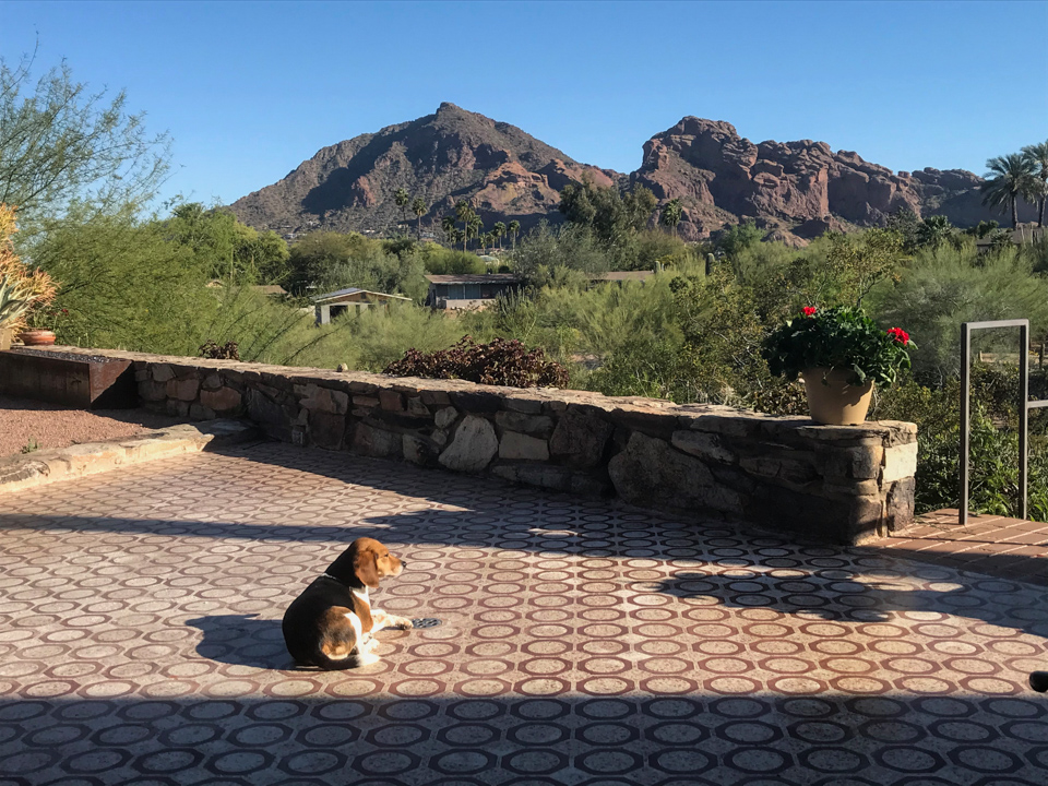 Sunning