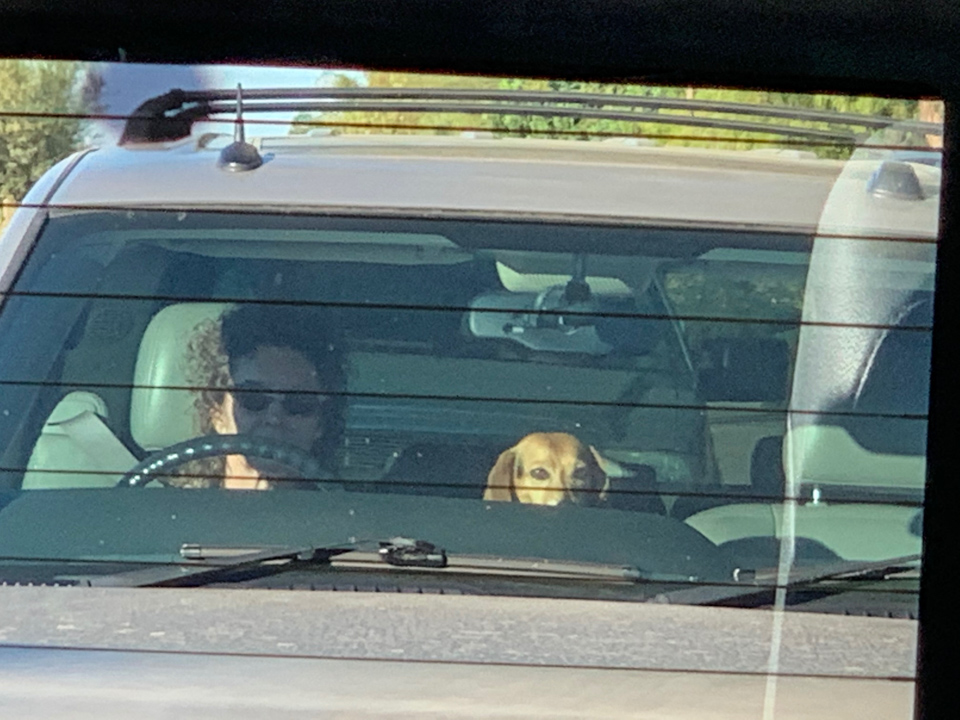 Front Seat Driver