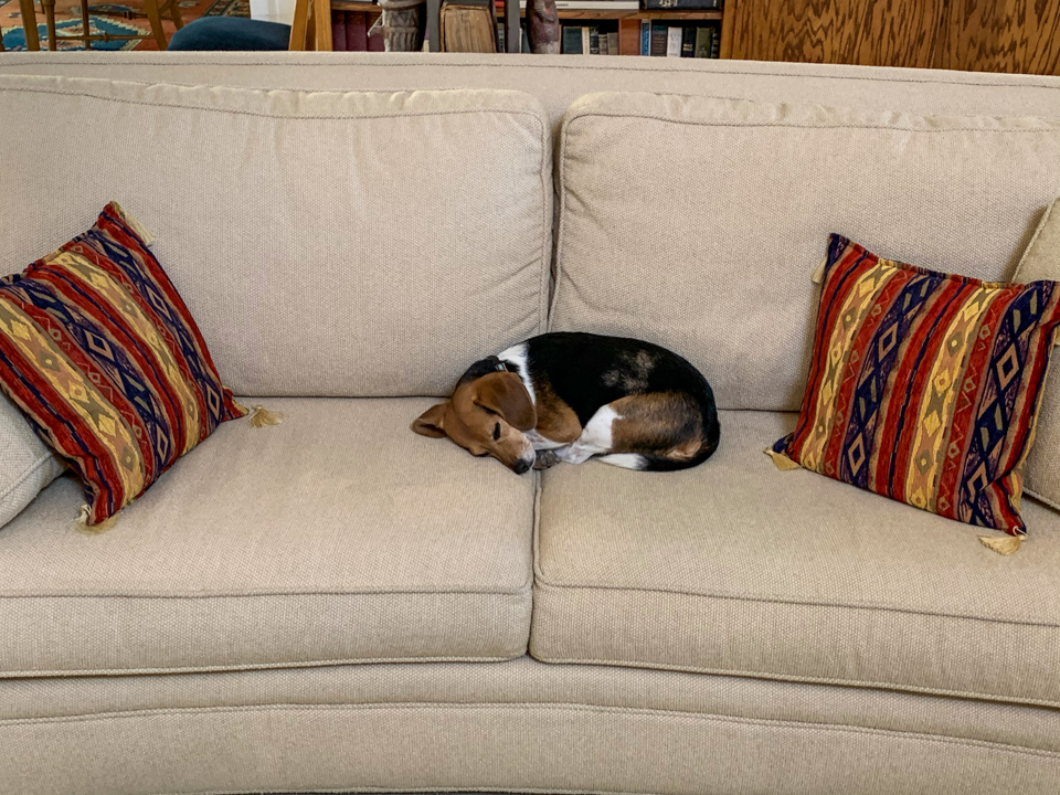 Napping At Grandma's