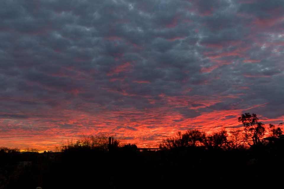 Arizona Sunset