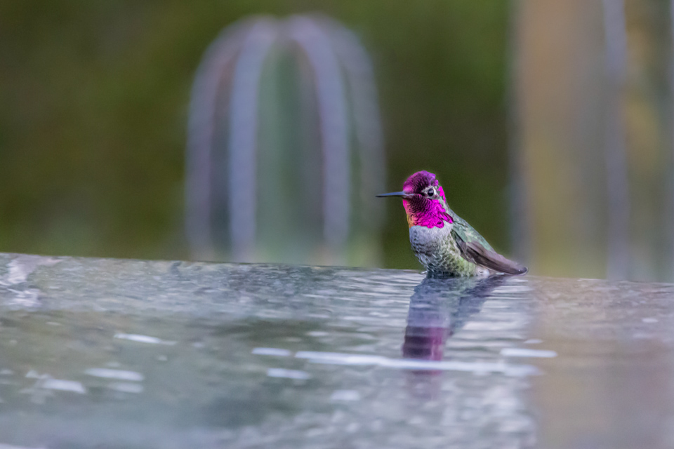 Sitting In Water