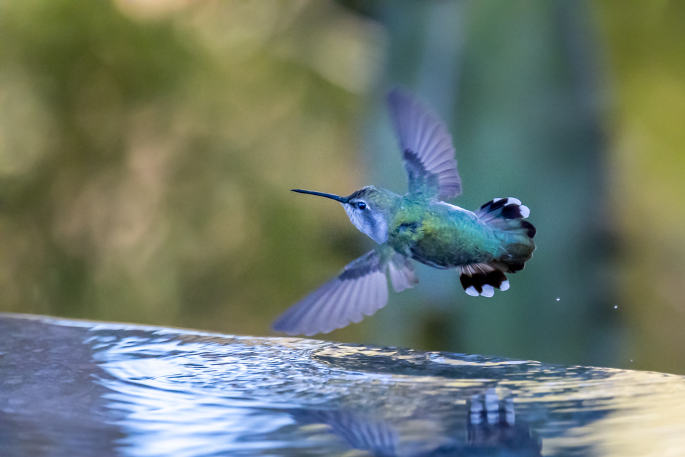 Taking Off