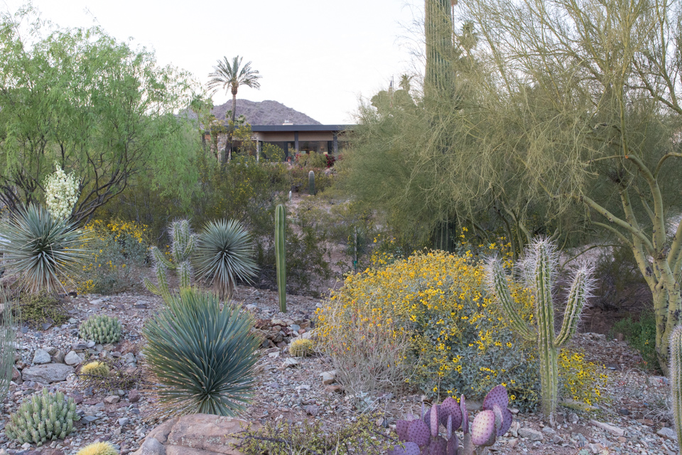 Front Yard
