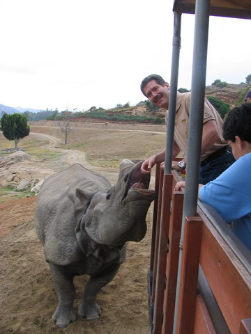 Feeding a Rino